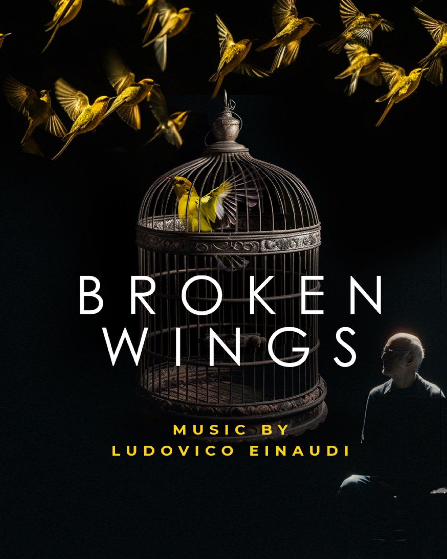 147 poster Broken Wings compressed