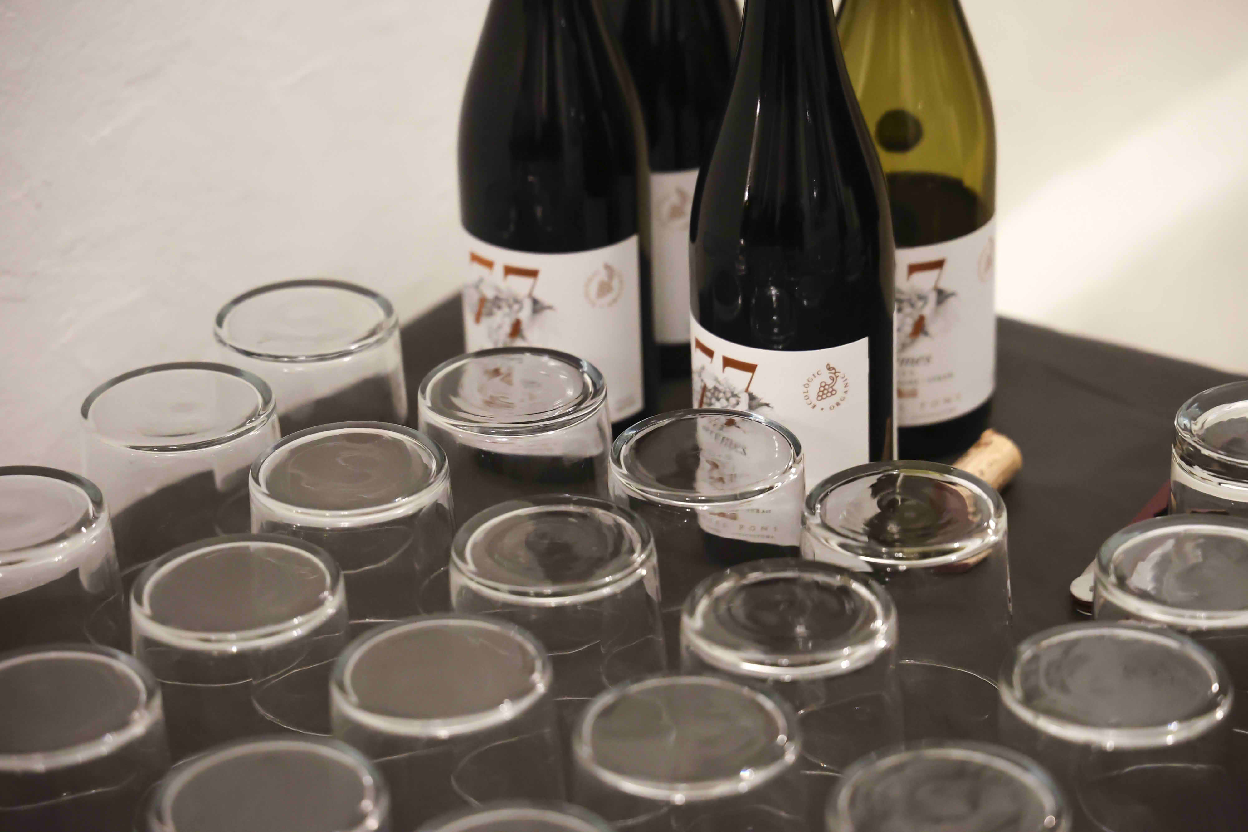 BR Transhumant Festival Cloenda 2025 Autor David Fajula 137 BR Transhumant Festival Cloenda 2025 Autor David Fajula 137