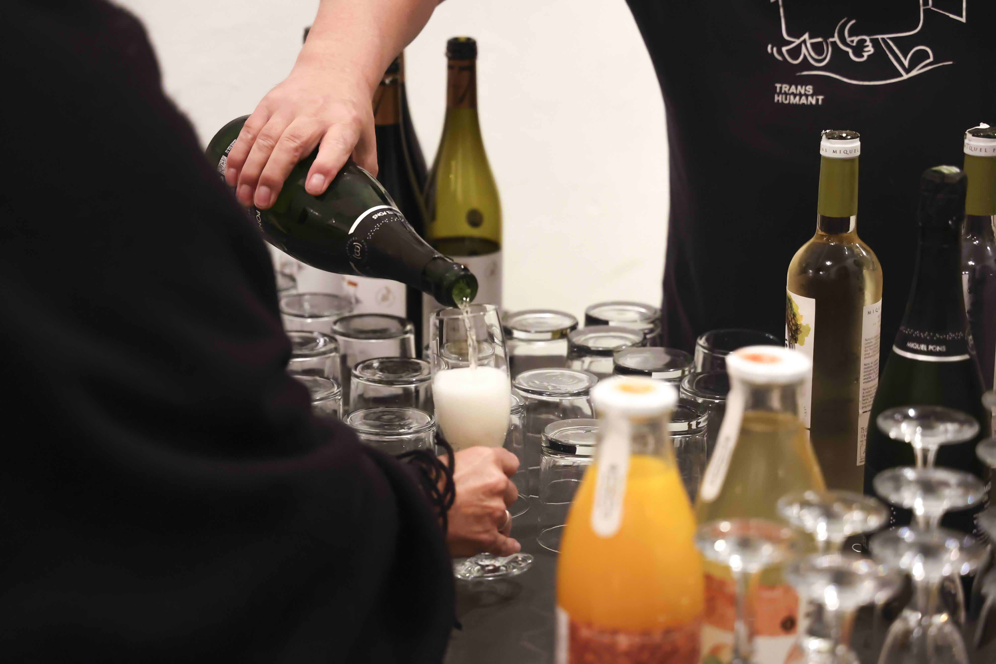 BR Transhumant Festival Cloenda 2025 Autor David Fajula 140 BR Transhumant Festival Cloenda 2025 Autor David Fajula 140