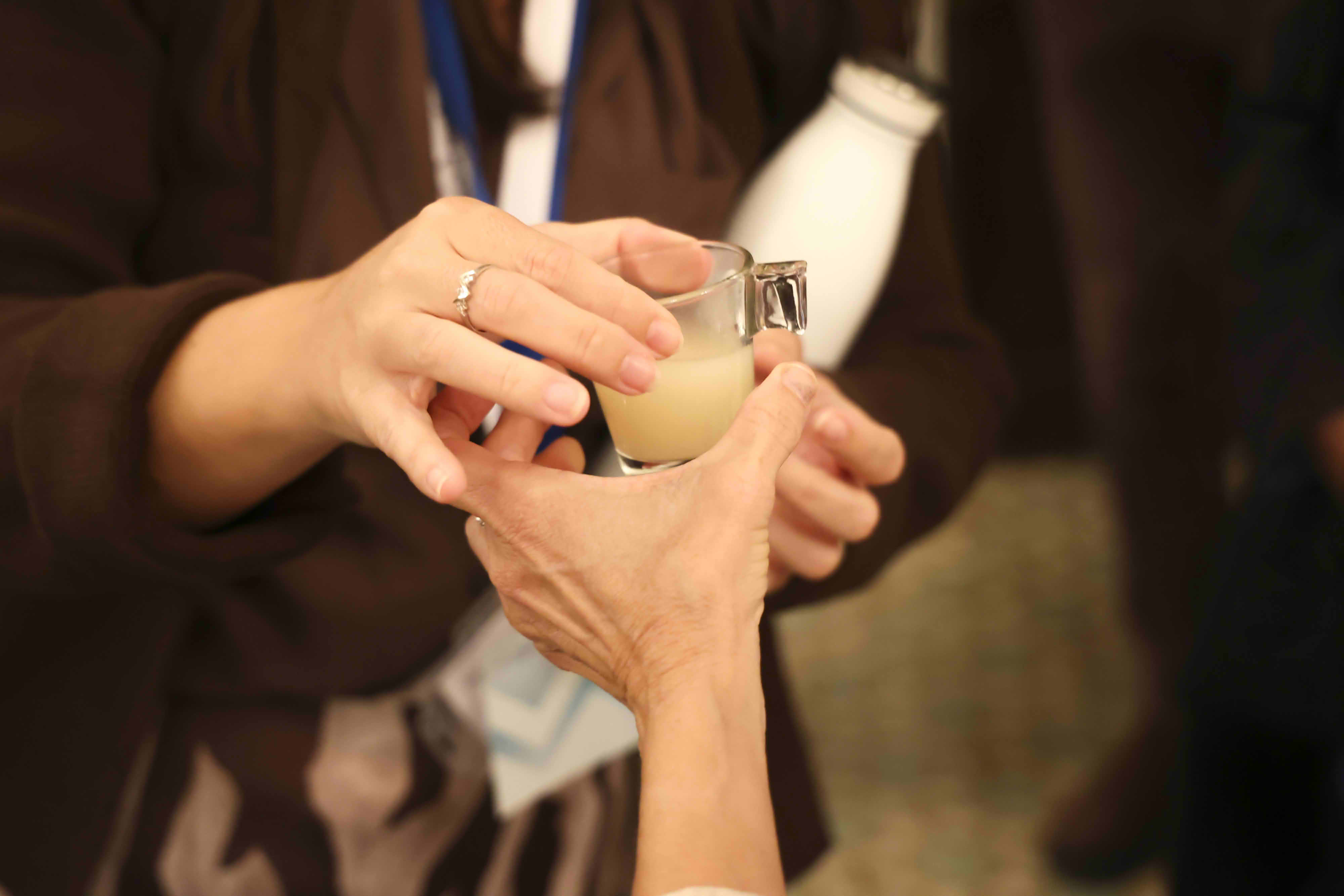 BR Transhumant Festival Cloenda 2025 Autor David Fajula 149 BR Transhumant Festival Cloenda 2025 Autor David Fajula 149