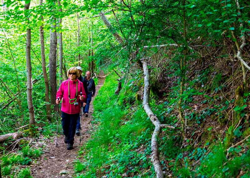 191027.PLAEROLA.CRATAEGUS.Senderisme7 B