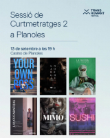 Cartell film en línea