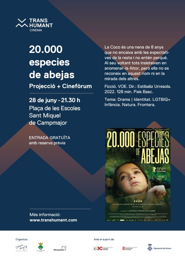 20.000 especies de abejas a la plaça de les escoles de Sant Miquel de Campmajor