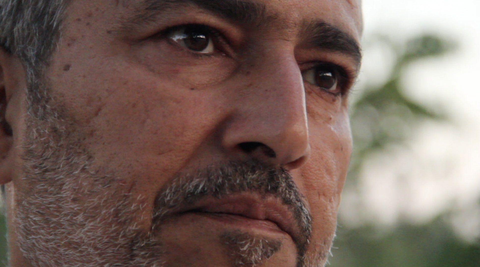 El periple. 6è Festival Gollut