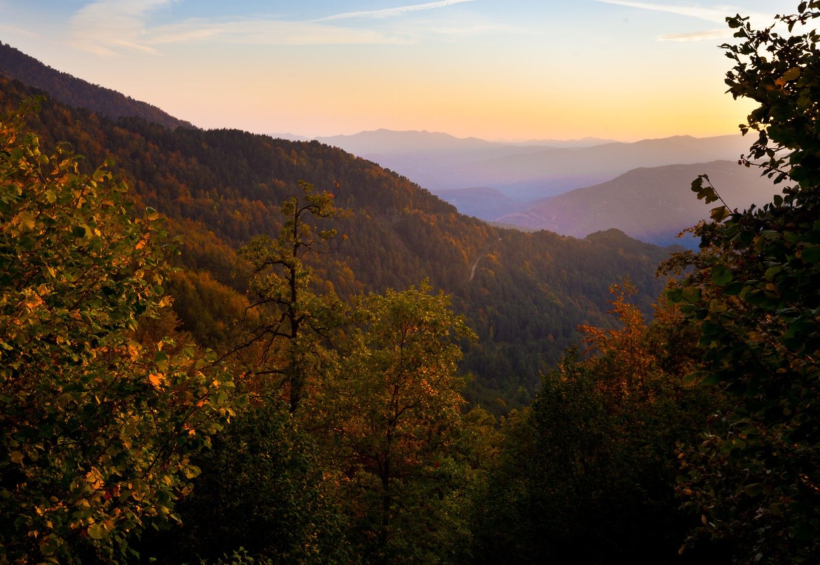 Taller de fotografia "Paisatges de la Vall de Ribes"